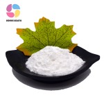 Wholesale Probiotics Lactobacillus Plantarum Food Garde Lactobacillus Plantarum Powder