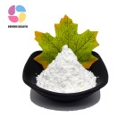 Factory Supply 99% Pure Skin Cream Deoxyarbutin Powder