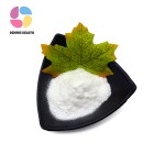 High Quality Bacillus Subtilis Feed Grade Probiotics Bacillus Subtilis Powder