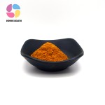 High Quality Organic Licorice Root Extract Powder Natural Herbal Food Grade Supplement