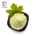 Top Quality Gelatin Food Grade Gelatin Powder