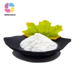 High Quality Bifidobacterium Lactis 99% Probiotics Bifidobacterium Lactis Powder
