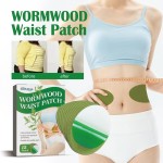 Slim Patch Supplier - Traditional Chinese Weight Loss