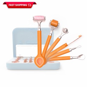 Dermaltools Manufacturer - Titanium Micro Needle Beauty Kit