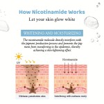 Skin Whitening Essence Factory - Facial Care Wholesale