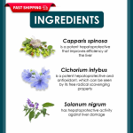 Herbal Extract Capsules Supplier - Liv.52 DS Himalaya 60caps