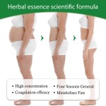 Slim Patch Supplier - Traditional Chinese Weight Loss