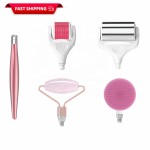 Facial Roller Supplier - 4-in-1 Manual Control Massager
