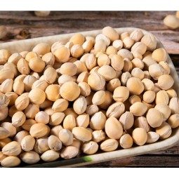 Cherry Stone Factory - Natural Pit Pillow Fill