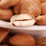 Sweet Almond Manufacturer - Organic Dried Fruits Bulk
