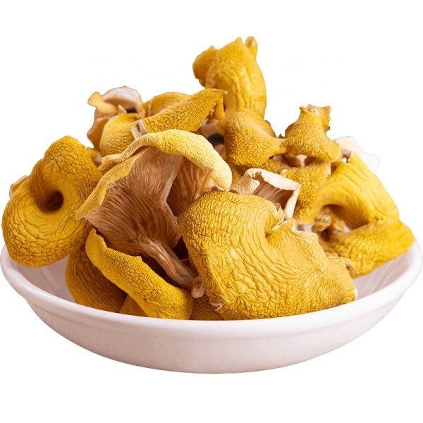Chanterelle Mushrooms Manufacturer - Dried Bulk Wholesale