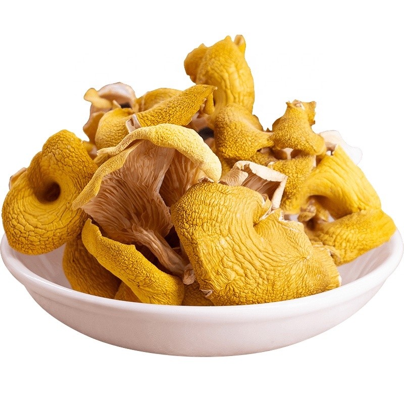 Chanterelle Mushrooms Manufacturer - Dried Bulk Wholesale