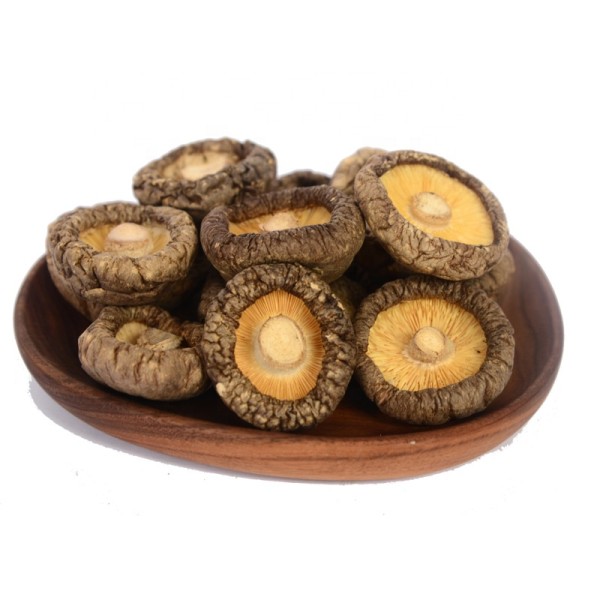 Shiitake Mushroom Manufacturer - Dried Mycelium Supplier