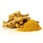 Curcuma Rhizome Factory - E Zhu High Quality