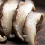 Shiitake Mushroom Manufacturer - Dried Mycelium Supplier