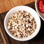 Goji Berry Soup Manufacturer - Radix Fici Hirtae Bulk