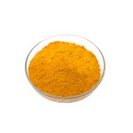 Turmeric Powder Manufacturer - Organic Ground Root