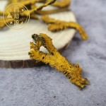 Coptis Root Manufacturer - Huang Lian Roots Slices