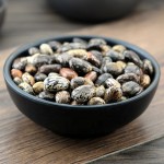 Castor Oil Seeds Manufacturer - Traditional Plant