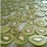 Dried Kiwi Slices Factory - Natural No Additive Supplier