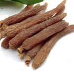 Red Ginseng Tea Manufacturer - Korean Halal Nutritious