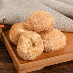 Hericium Rrinaceus Manufacturer - Dried Lion's Mane Supplier
