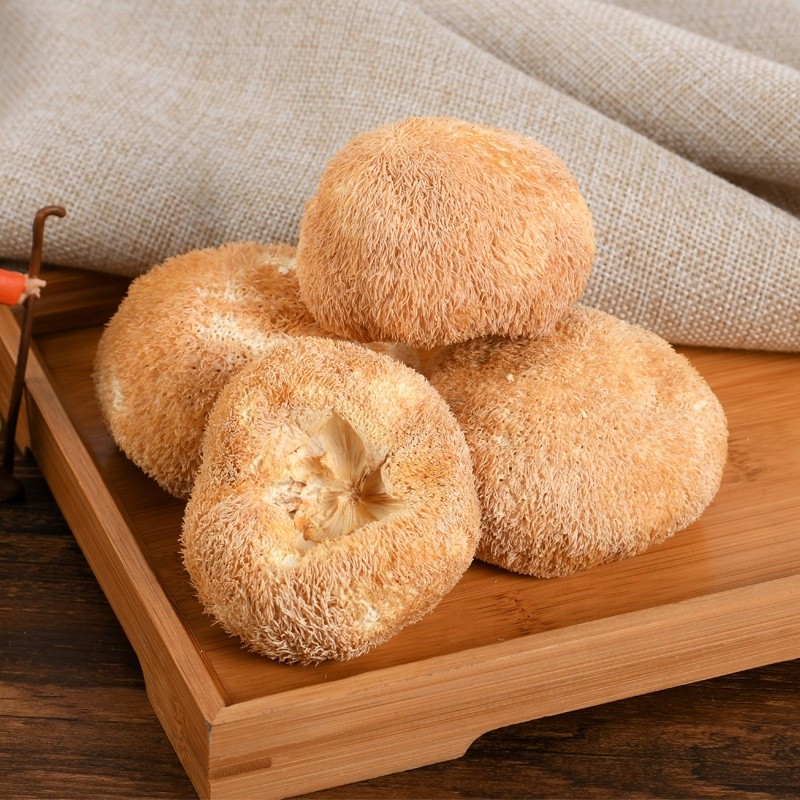 Hericium Rrinaceus Manufacturer - Dried Lion's Mane Supplier