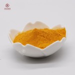 Turmeric Powder Manufacturer - Organic Ground Root