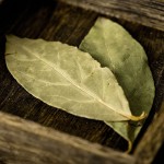 Bay Leaf Factory - Laurel Leaves Cooking