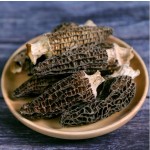 Morel Mushroom Factory - Dried Morchella Esculenta OEM