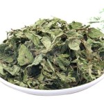 Mint Manufacturer - Factory Wholesale Supply