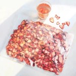 Dried Strawberry Manufacturer - Fruits Tea Wholesale