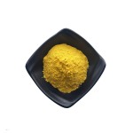 Turmeric Powder Manufacturer - Organic Ground Root