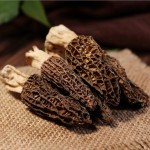 Morel Mushroom Factory - Dried Morchella Esculenta OEM