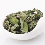 Mint Manufacturer - Factory Wholesale Supply
