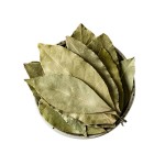Bay Leaf Factory - Laurel Leaves Cooking