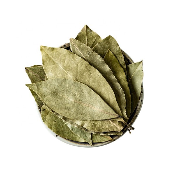Bay Leaf Factory - Laurel Leaves Cooking