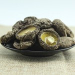 Shiitake Mushroom Manufacturer - Dried Mycelium Supplier