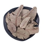 Guava Leaf Tea Manufacturer - Herbal Tea Bulk Wholesale