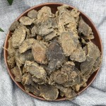 Curcuma Rhizome Factory - Zedoary Root Herbal