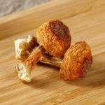 Agaricus Blazei Manufacturer - Dried Mushroom Bulk Supplier