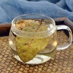 Guava Leaf Tea Manufacturer - Herbal Tea Bulk Wholesale