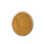 Ashwagandha Powder Manufacturer - Dried Extract Yin Du