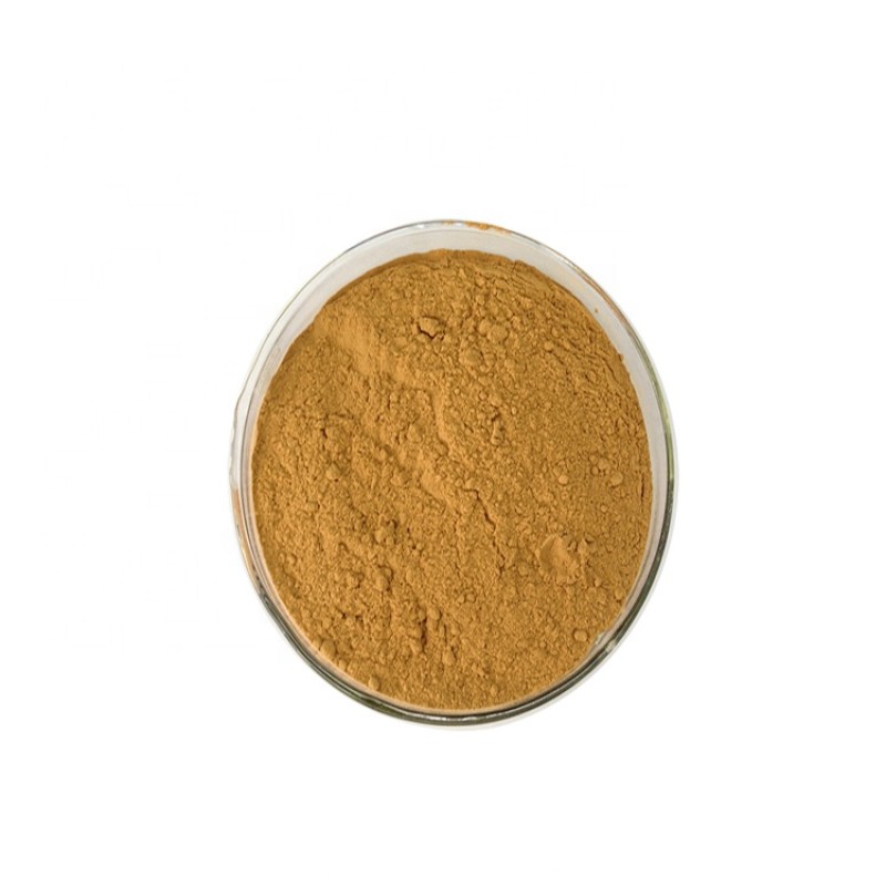 Ashwagandha Powder Manufacturer - Dried Extract Yin Du