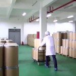 Ashwagandha Powder Manufacturer - Dried Extract Yin Du