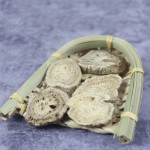 Costus Root Factory - Yun Mu Xiang Inclusion-Free