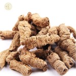 Morinda Root Manufacturer - Traditional Herbal