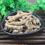 Morinda Root Manufacturer - Traditional Herbal