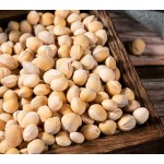 Cherry Stone Factory - Natural Pit Pillow Fill