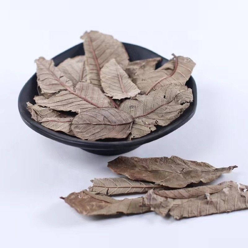 Guava Leaf Tea Manufacturer - Herbal Tea Bulk Wholesale